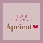 計測用チップ♡送料込み