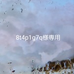 8t4p1g7q様専用