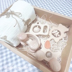 出産祝い ギフトボックス 誕生日プレゼント5点set ⋆⸜ ⚘ ⸝⋆