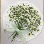 NO.776N 限定5個✨かすみ草  ボタニカル／押し花素材