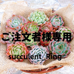 うまみ様専用