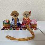 わんちゃんお雛様