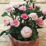 ご依頼品　ミニチュア盆栽〈薔薇〉