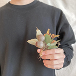 【送料無料】植物男子へのバレンタインギフトにも◎ユーカリとグレビレアのドライフラワーミニブーケ