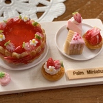 ＊palm miniature＊苺のシャルロットケーキとスイーツのセット