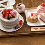 ＊palm miniature＊苺のネイキッドケーキとスイーツのセット