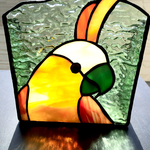 parrot box