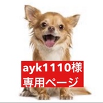 専用ページ