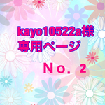 kayo10522a様専用ページＮｏ．2