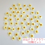 No166 ドライフラワー　お花畑セット　