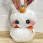 えみシャチ様専用ページ
