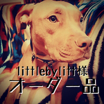 littlebylitt様専用 追加分