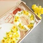 【ミモザツインアロマワックスサシェギフトBOX（２個入り）】