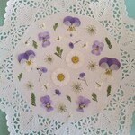 押し花素材396　パープル系小花のセット　