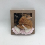 donsuke様専用　うとうとわんちゃん、ねこちゃんのミニフレーム　オーダーメイド　羊毛フェルト