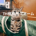 個別注文フォーム