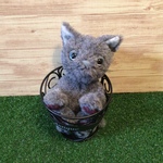 赤ちゃん猫(ロシアンブルー)