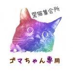 ゴマちゃん専用