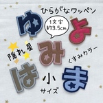 くすみカラーのひらがなワッペン＊隠れ星＊小