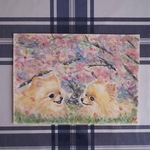 桜の下で　ポメラニアン 