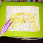 プリザーブドフラワー カラー