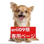 専用ページ