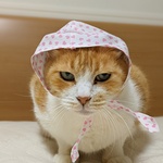 ハートドロボー