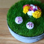 【桜２】　一粒ガラスのスタッドピアス / イヤリング　サージカルステンレス / 樹脂ピアス