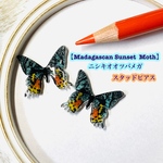 手描きのニシキオオツバメガのスタッドピアス　サージカル