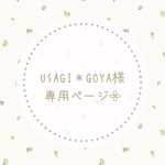 USAGI＊GOYA様専用ページ𓂃𓈒𓏸