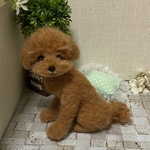 羊毛フェルト　トイプードル