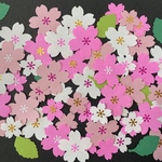 ②クラフトパンチ　さくら　桜　イベント　春　花　壁面飾り　ハンドメイド