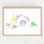 鳥と桜✴︎ 水彩画インテリアポスター◻︎