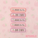 毎年大好評✩.*˚お名前ワッペン❁8文字まで❁小さなドット&さくらんぼ❁