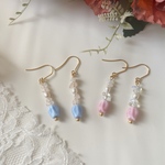 チューリップ🌷②