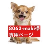 専用ページ