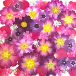 ♡new♡作家様必見♡押し花MIXセット♡押し花セット