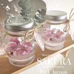 本物の桜…春の宴❀  2016