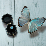 Morpho Ring｜portis