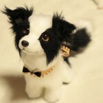ボーダーコリー＊犬＊アートドール＊ぬいぐるみ