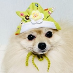 子供の日 和菓子柄の花兜
