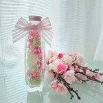 桜ハーバリウム🌸花材のみ