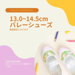 13.0cm~14.5cmの上履き専用