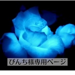 ぴんち様専用ページ