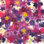 ♡new♡作家様必見♡押し花MIXセット♡押し花セット