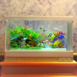 作品名はありません