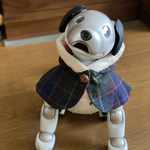 ウインターケープD