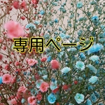 PECORA様専用　ドライフラワー