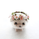 【現品発送】花冠・ハリネズミ&小動物用