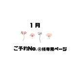 🍓ご予約No.④様専用ページ🍓